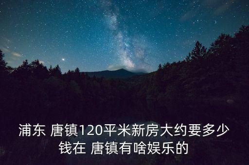 浦東 唐鎮(zhèn)120平米新房大約要多少錢在 唐鎮(zhèn)有啥娛樂的