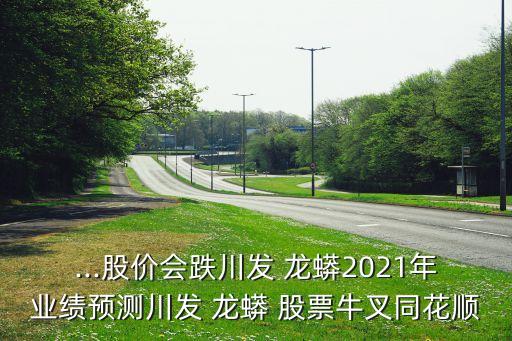 ...股價會跌川發(fā) 龍蟒2021年業(yè)績預測川發(fā) 龍蟒 股票牛叉同花順