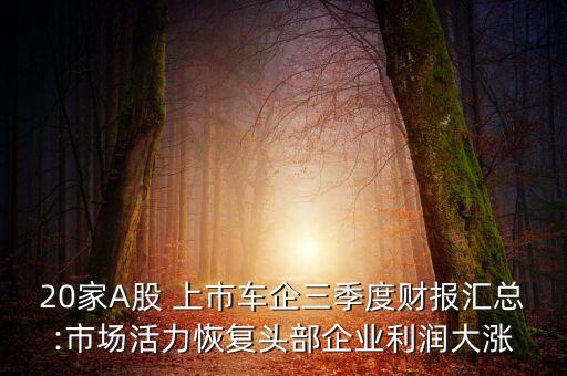 20家A股 上市車企三季度財報匯總:市場活力恢復(fù)頭部企業(yè)利潤大漲