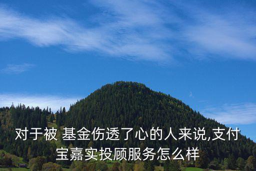 對于被 基金傷透了心的人來說,支付寶嘉實(shí)投顧服務(wù)怎么樣