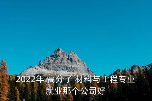 2022年 高分子 材料與工程專業(yè)就業(yè)那個公司好