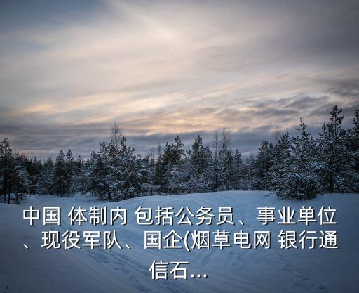 中國 體制內(nèi) 包括公務(wù)員、事業(yè)單位、現(xiàn)役軍隊(duì)、國企(煙草電網(wǎng) 銀行通信石...