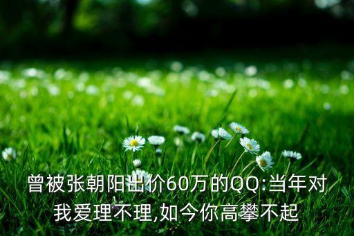 曾被張朝陽出價60萬的QQ:當年對我愛理不理,如今你高攀不起