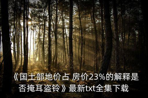 《國(guó)土部地價(jià)占 房?jī)r(jià)23%的解釋是否掩耳盜鈴》最新txt全集下載