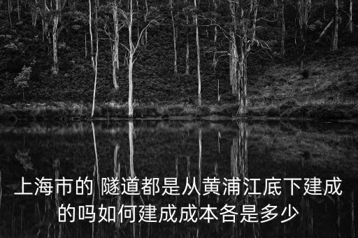 上海市的 隧道都是從黃浦江底下建成的嗎如何建成成本各是多少