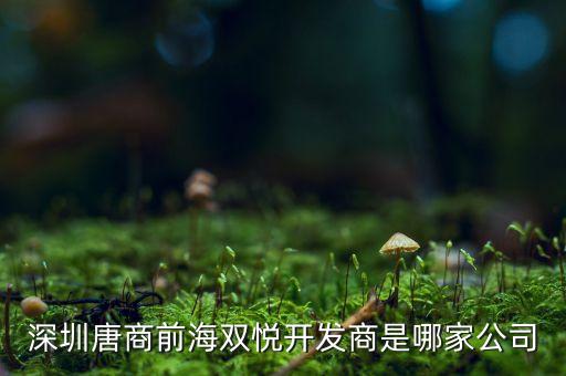 深圳唐商前海雙悅開發(fā)商是哪家公司