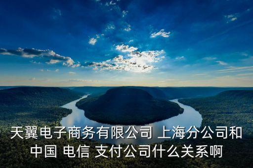 天翼電子商務(wù)有限公司 上海分公司和中國(guó) 電信 支付公司什么關(guān)系啊