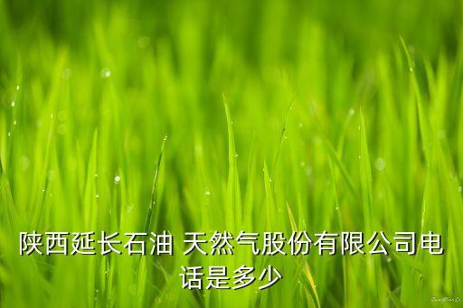 陜西延長石油 天然氣股份有限公司電話是多少