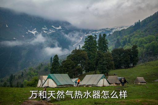 萬和天然氣熱水器怎么樣