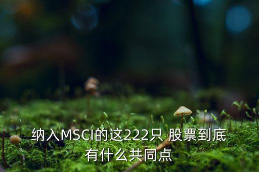 納入MSCI的這222只 股票到底有什么共同點(diǎn)