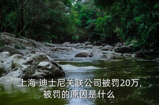  上海 迪士尼關聯公司被罰20萬,被罰的原因是什么