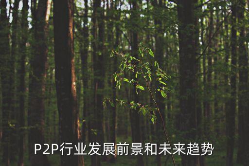 p2p公司的挑戰(zhàn),美國P2P公司