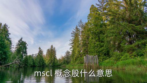 mscl 概念股什么意思