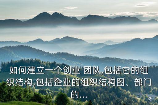 如何建立一個創(chuàng)業(yè) 團隊,包括它的組織結構,包括企業(yè)的組織結構圖、部門的...