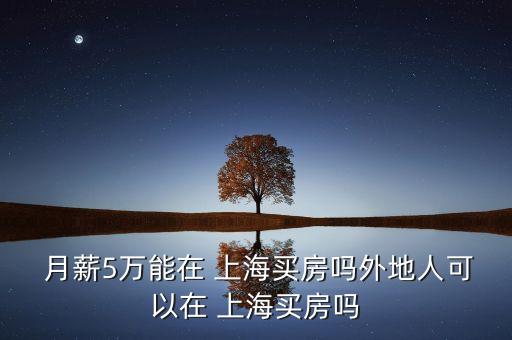 月薪五萬(wàn)上海什么水平,美國(guó)月薪五萬(wàn)美金什么水平