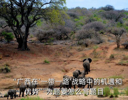 “廣西在‘一帶一路’戰(zhàn)略中的機遇和優(yōu)勢”為題要怎么寫題目