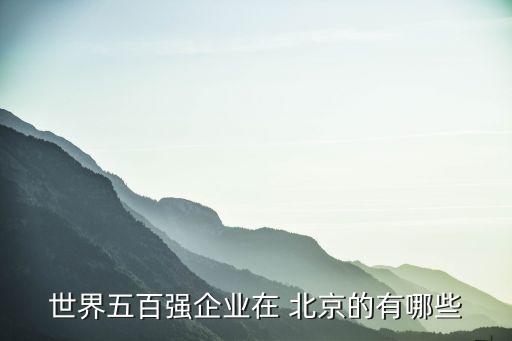 世界五百強(qiáng)企業(yè)在 北京的有哪些