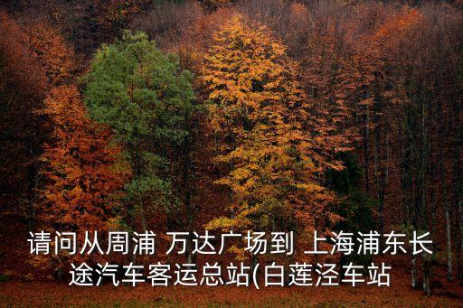 請(qǐng)問(wèn)從周浦 萬(wàn)達(dá)廣場(chǎng)到 上海浦東長(zhǎng)途汽車客運(yùn)總站(白蓮涇車站