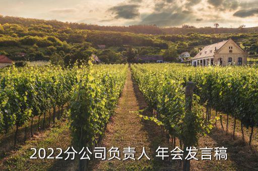 2022分公司負(fù)責(zé)人 年會(huì)發(fā)言稿