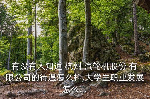 杭州汽輪實業(yè)有限公司,杭州東箭實業(yè)集團有限公司