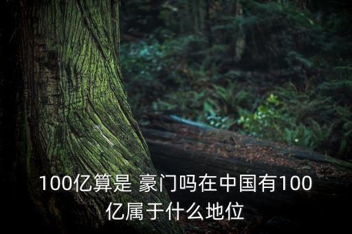 100億算是 豪門嗎在中國有100億屬于什么地位