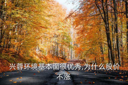 興蓉投資最新消息,興蓉環(huán)境董事長(zhǎng)最新消息