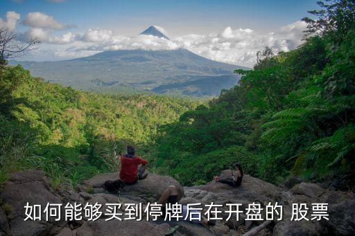 怎么買復(fù)牌的股票,個(gè)人怎么買一級(jí)市場(chǎng)股票