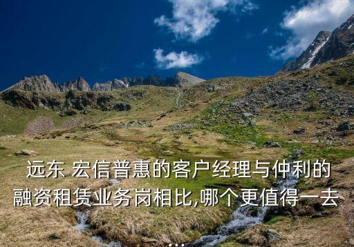  遠東 宏信普惠的客戶經理與仲利的融資租賃業(yè)務崗相比,哪個更值得一去...