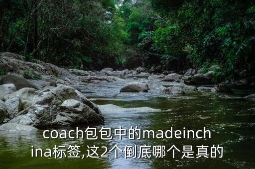 coach包包中的madeinchina標簽,這2個倒底哪個是真的