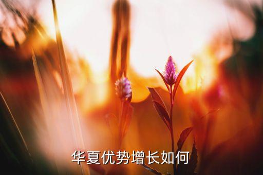 華夏優(yōu)勢(shì)增長(zhǎng)如何