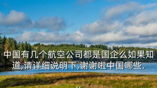 中國有幾個(gè)航空公司都是國企么如果知道,請(qǐng)?jiān)敿?xì)說明下,謝謝啦中國哪些...