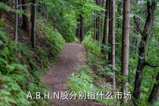 A.B.H.N股分別指什么市場(chǎng)