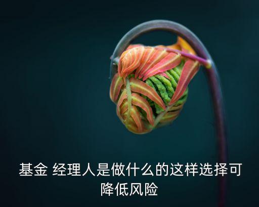  基金 經(jīng)理人是做什么的這樣選擇可降低風(fēng)險