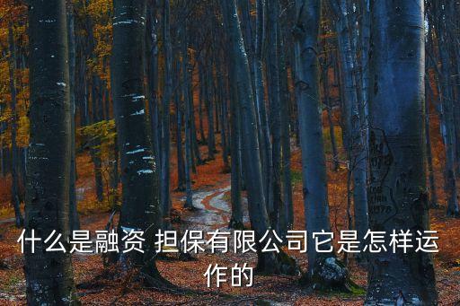 什么是融資 擔(dān)保有限公司它是怎樣運作的