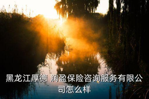 黑龍江厚德 潤盈保險(xiǎn)咨詢服務(wù)有限公司怎么樣