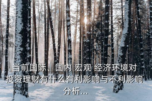 當前國際、國內 宏觀 經濟環(huán)境對 投資理財有什么有利影響與不利影響 分析...