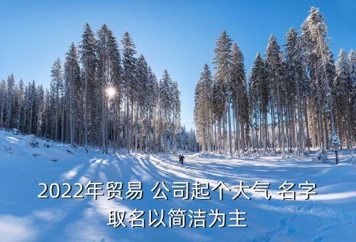 2022年貿(mào)易 公司起個大氣 名字取名以簡潔為主