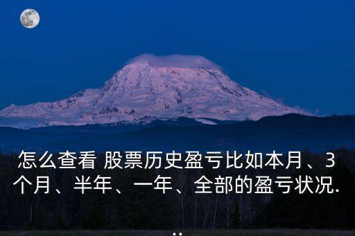 怎么查看 股票歷史盈虧比如本月、3個月、半年、一年、全部的盈虧狀況...