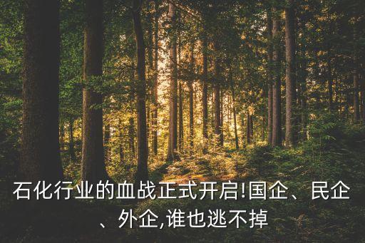 石化行業(yè)的血戰(zhàn)正式開啟!國企、民企、外企,誰也逃不掉