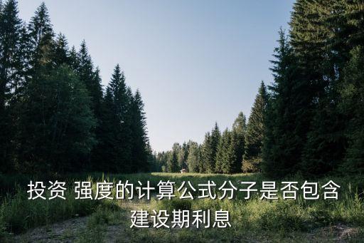  投資 強(qiáng)度的計算公式分子是否包含建設(shè)期利息