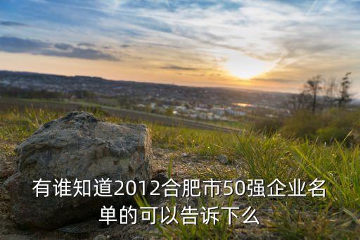 有誰知道2012合肥市50強企業(yè)名單的可以告訴下么