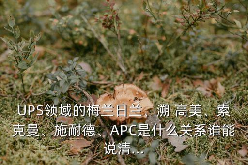 UPS領域的梅蘭日蘭、溯 高美、索克曼、施耐德、APC是什么關系誰能說清...