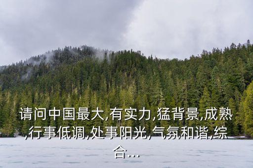 請問中國最大,有實力,猛背景,成熟,行事低調,處事陽光,氣氛和諧,綜合...