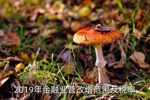 2019年金融業(yè)營改增范圍及稅率