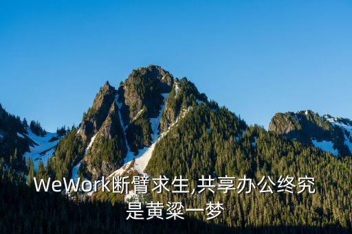 WeWork斷臂求生,共享辦公終究是黃粱一夢(mèng)