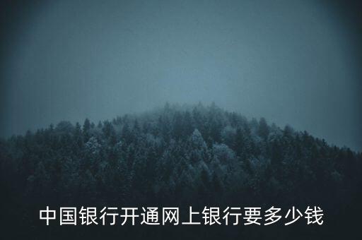 中國銀行開通網(wǎng)上銀行要多少錢