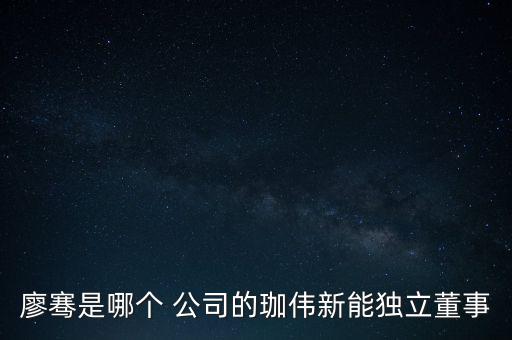 廖騫是哪個 公司的珈偉新能獨立董事