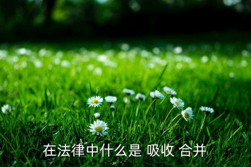 tcl集團(tuán)換股吸收合并子公司,母公司吸收合并子公司換股