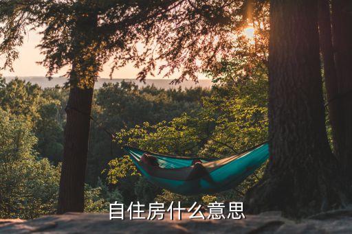 自住房什么意思