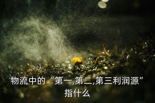 簡述公司盈利增長的源泉